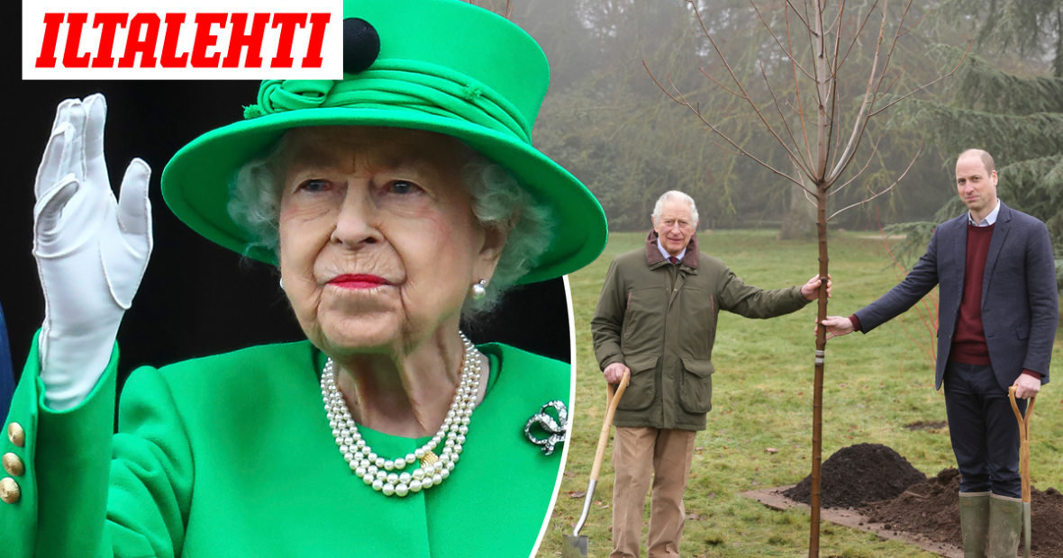 Kuningatar Elisabetin muistolle on istutettu jo kolme miljoonaa puuta – Myös Charles ja William ahkeroivat puutarhassa