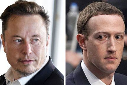 Elon Musk vs. Mark Zuckerberg Cage Match Prompts Hypothetical Odds