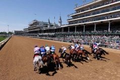 FanDuel Leads Horse Racing Betting Apps, DraftKings âPlacesâ