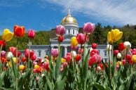 Vermont Legalizes Sports BettingÂ 