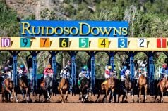 New Mexico Governor Demands Horse Racing Changes After Equine Deaths