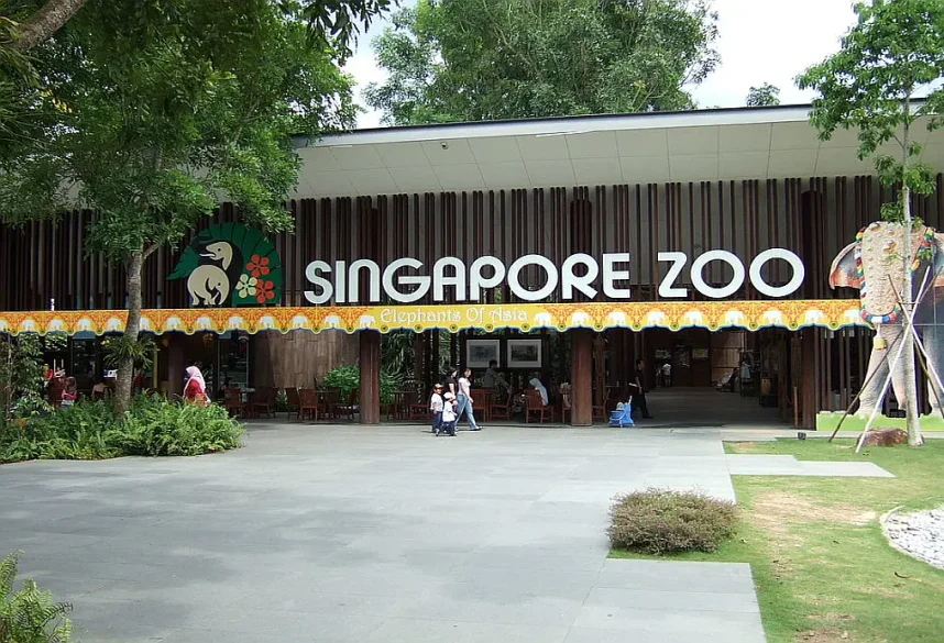 Singapore Zoo Bribery Scheme Gave Man Free Gambling Trips for Years