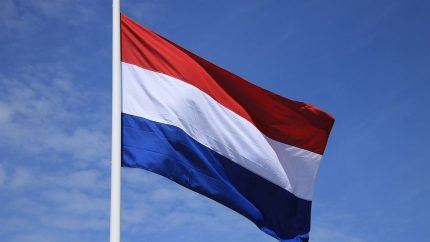Dutch Gamblers Face Possibility of Mandatory Affordability Checks