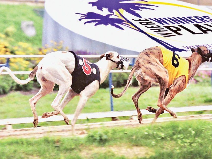 SIS Ends Greyhound Simulcast Operations in US